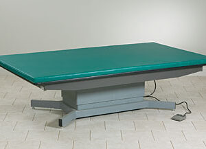 Clinton 253-47 Hi-Lo Mat Platform